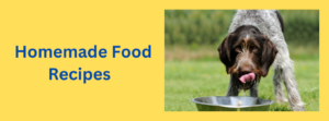Vet Approved Homemade Dog Food Recipes for Kidney Disease
