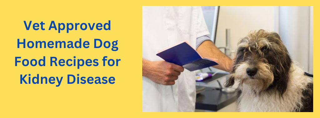 Vet Approved Homemade Dog Food Recipes for Kidney Disease: A Nutritional Guide