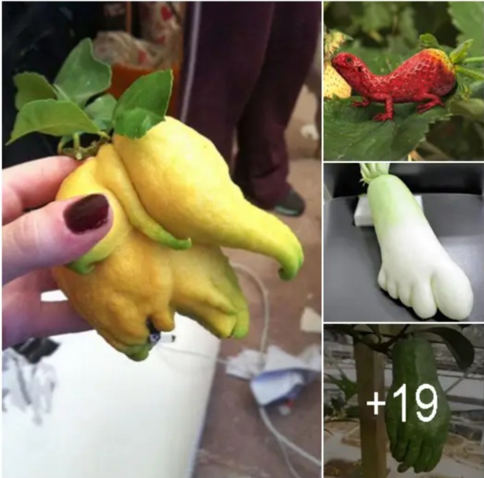 Discover 10 Fascinating Fruits and Vegetables That Will Amaze You